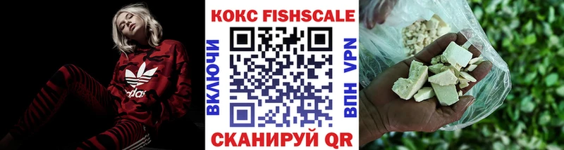 Cocaine FishScale магазин Борисоглебск