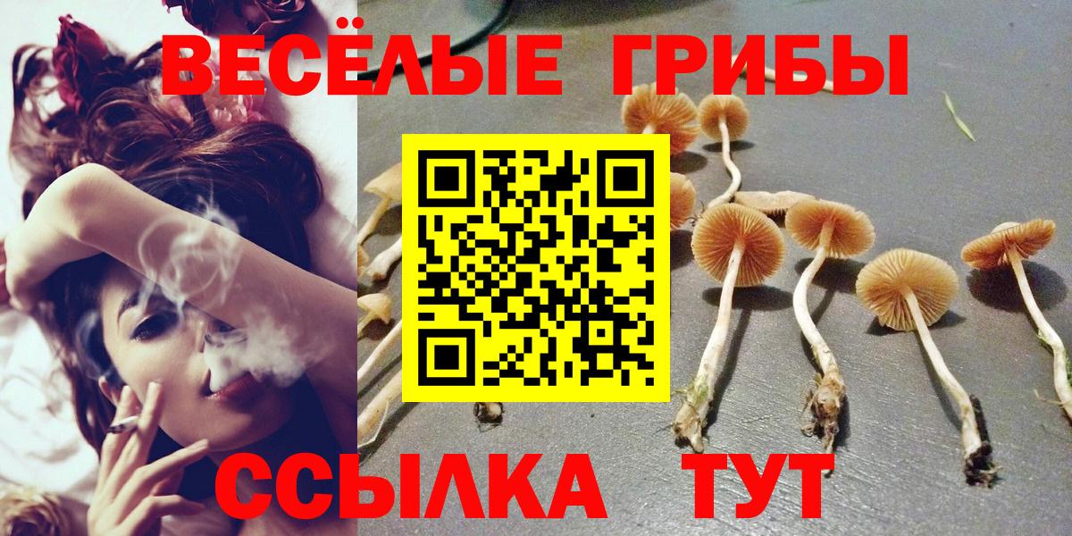 Псилоцибиновые грибы GOLDEN TEACHER Борисоглебск
