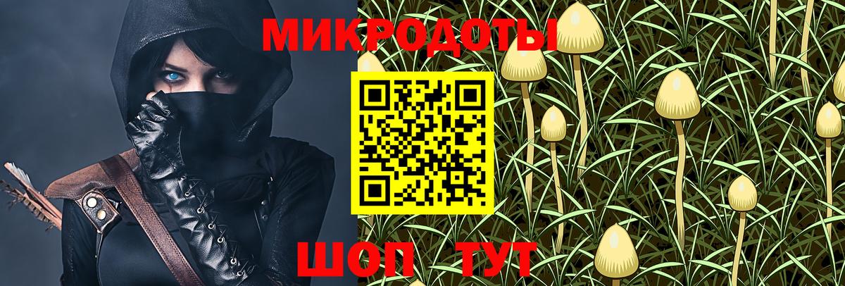 Псилоцибиновые грибы Magic Shrooms  Вход с VPN  Борисоглебск 